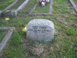 image of grave number 236793